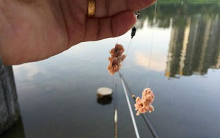 高手解答拉饵的开制技巧与状态的运用