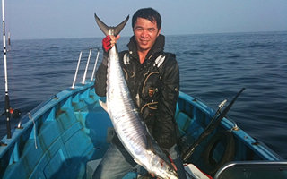 海钓马鲛鱼的真假拟饵垂钓技巧