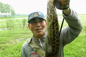 三耳鱼的黑鱼世界 2016夏季雷强第1集 [视频]