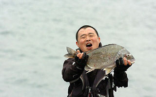 黑鲷鱼
