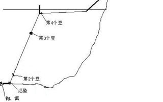 图解淡水矶竿钓草、鲤鱼的方法介绍