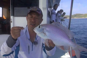 游钓中国第一季70集：泰国海钓行之初探海域中鲷鱼 [视频]