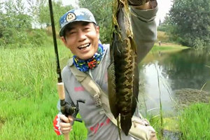 三耳鱼的黑鱼世界 2016夏季雷强第8集 [视频]
