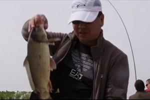 钩尖江湖第一季30 陌生水域黑坑记（下）原塘鱼应对策略 [视频]