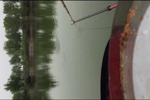 避开小白条钓鲫鱼的扬竿操作演示 [视频]