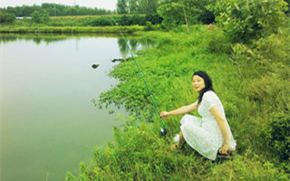 夏天鲫鱼不好钓的原因和野鲫的垂钓技法