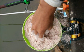 饵料错误的开制方法及正确的开饵技巧