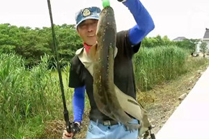 三耳鱼的黑鱼世界 2016夏季雷强第9集 [视频]