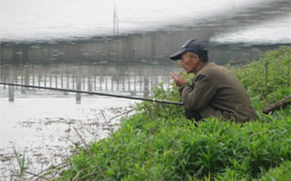 夏季江河水库野钓打窝用饵技巧