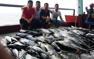 南海游钓的开荒之旅 联合作战爆钓金枪鱼
