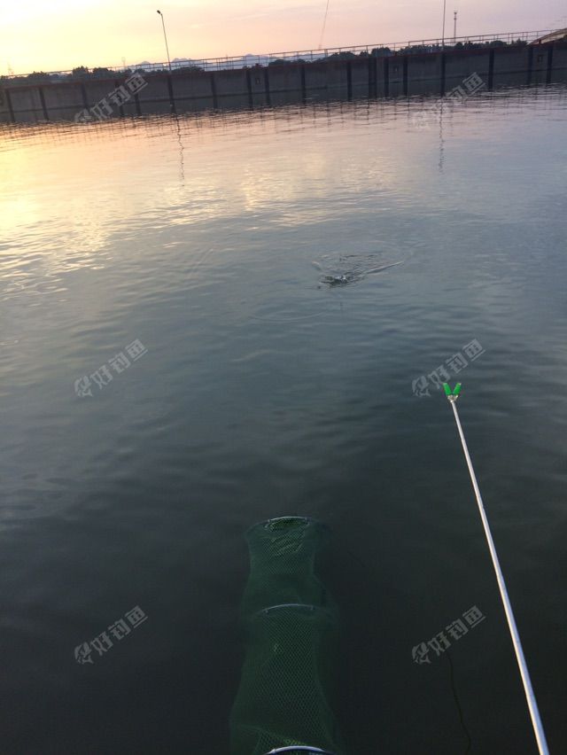 DQTLNHLW.jpg DQTLNHLW.jpg