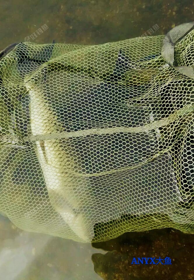 mmexport1466306696628_mh1488265133565.jpeg