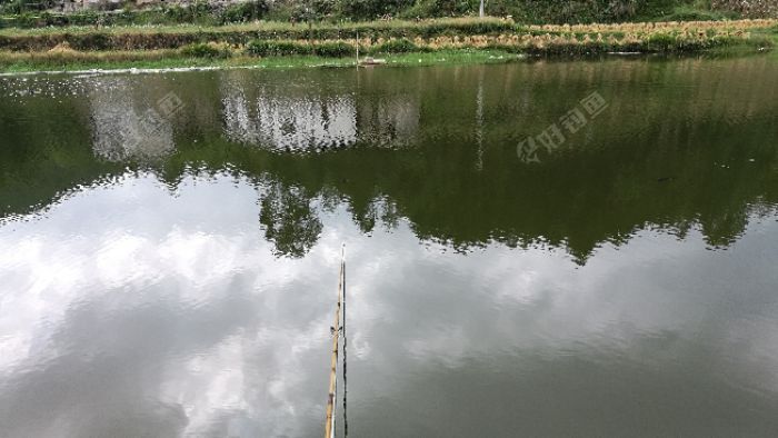 IMG_20171001_105602.jpeg