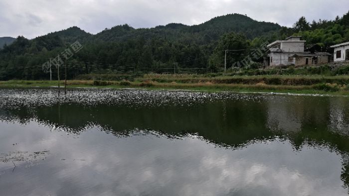 IMG_20171001_105612.jpeg