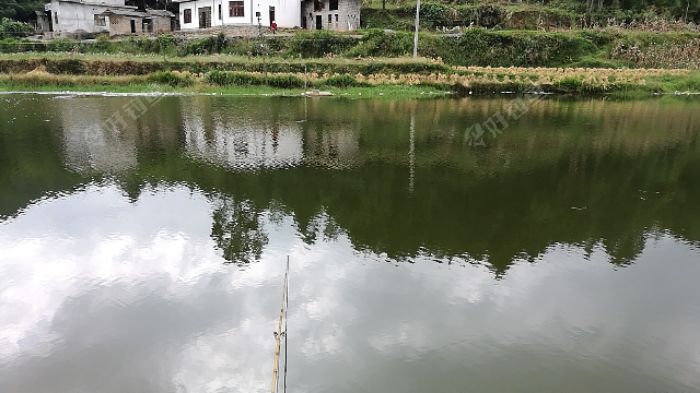 wx_camera_1506826551752.jpeg