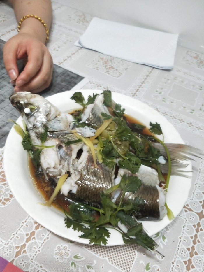 挑战水库，狂拉鳊鱼鲫鱼不止