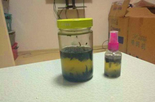 钓鲫鱼不花钱的小药,可以在饵料中添加效果好