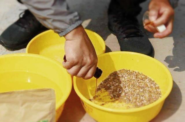 钓鱼用饵,加小药就是个坑?告诉你正确的打开方式