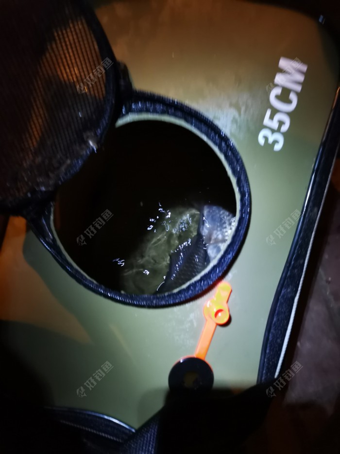 出差途中，初学路亚，空军而还