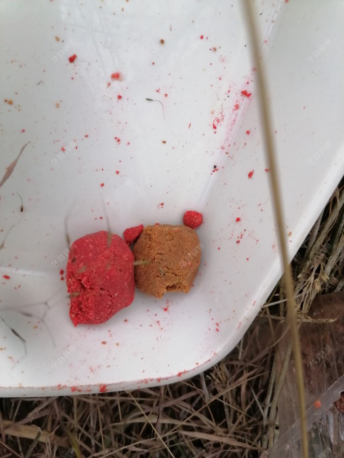 饵料是靠什么诱鱼?雾化、颜色、味道,到底是什么