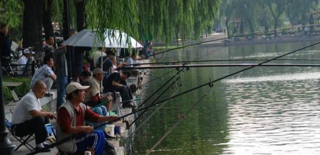 为什么螺鲤钓不到鱼?最基本的饵料搭配都不对