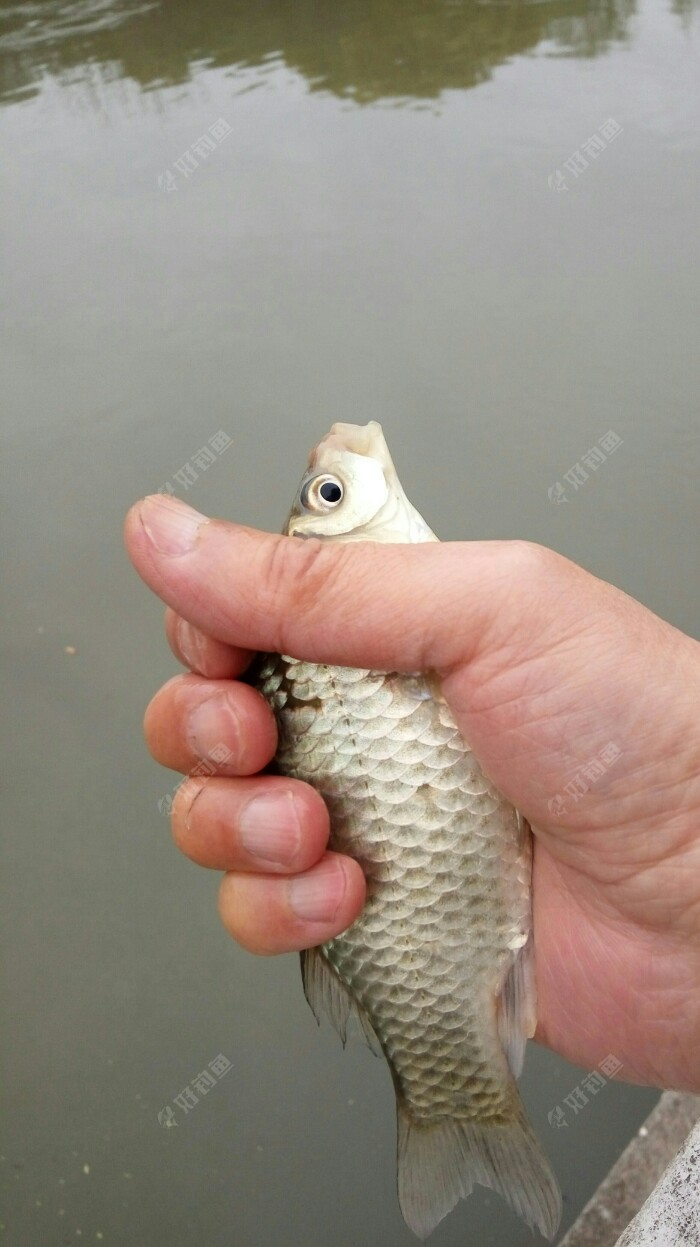 寒潮过后，气温回升，是垂钓良机