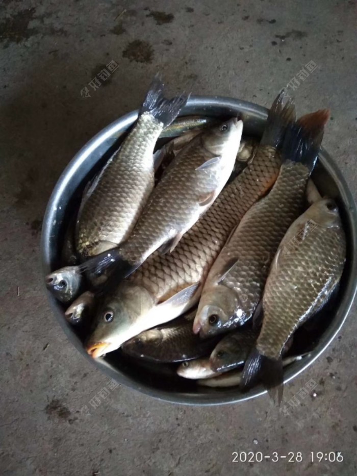 疫情缓解，首钓东河水库