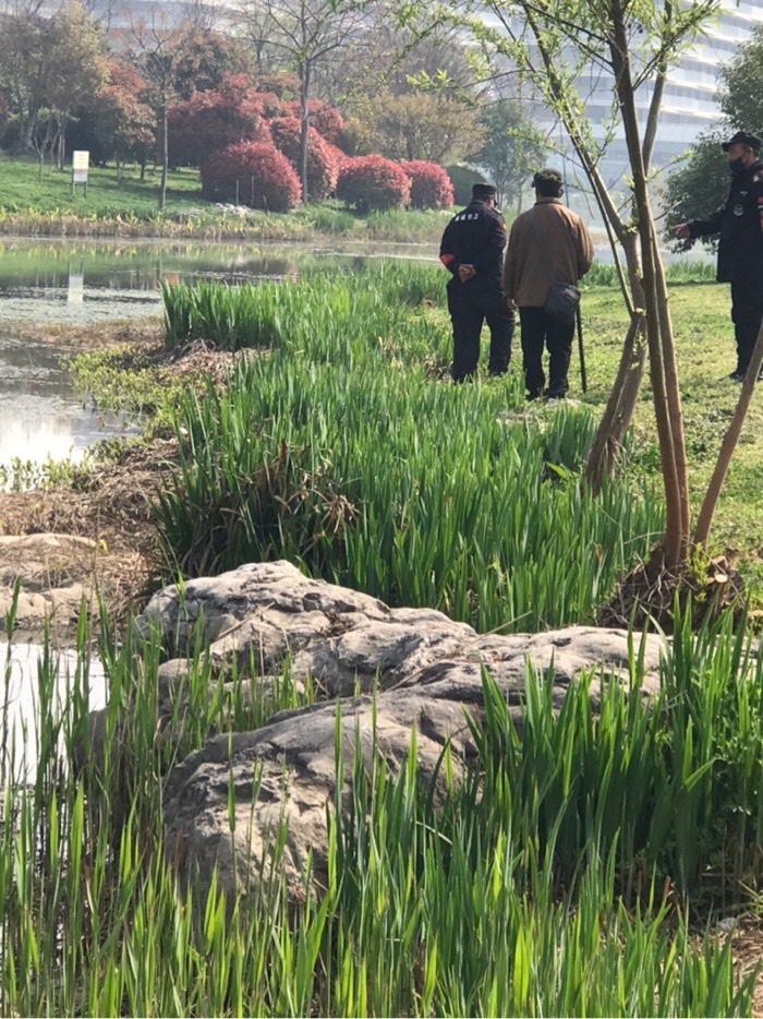 上午出去查看钓场，准备出钓