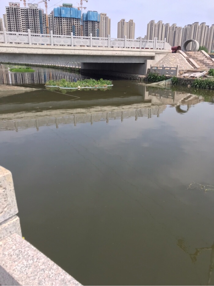 今天风大浪大,但收获还可以