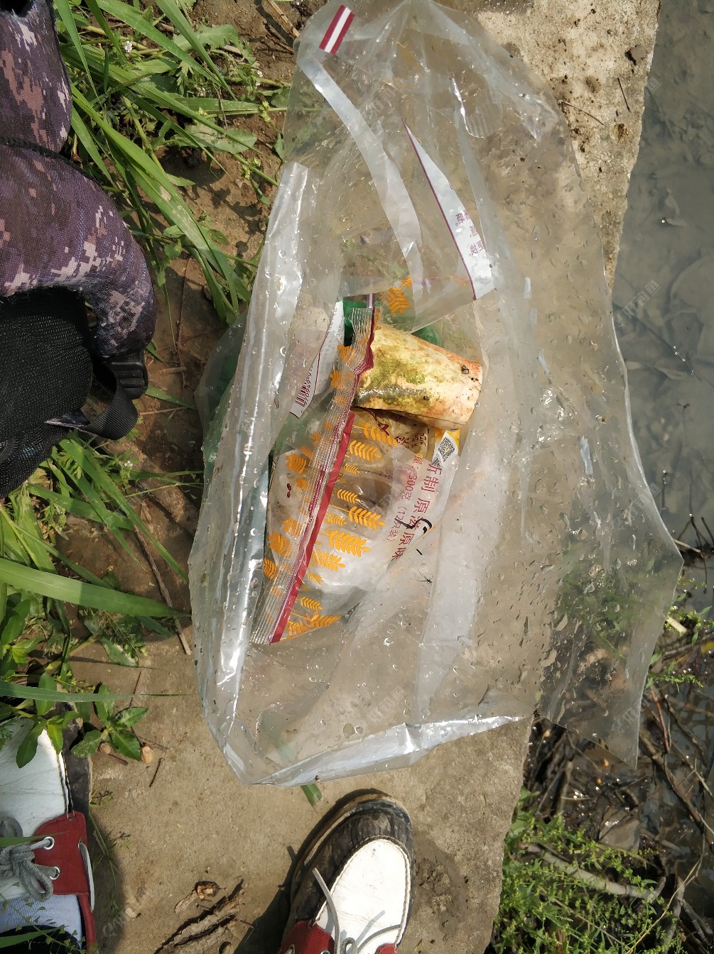 周末坐钓第26场，你们猜下鱼获吧
