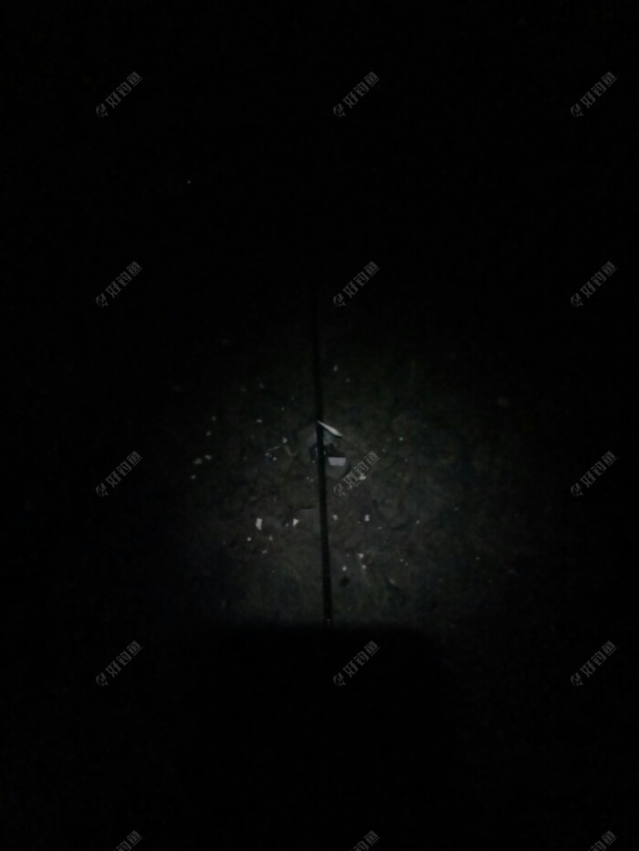 鲫翘无口鲢鱼到！盘它，损失惨重