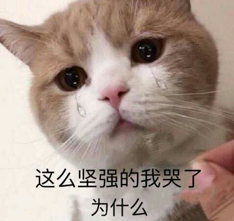 野钓小鱼闹、泥鳅来帮忙