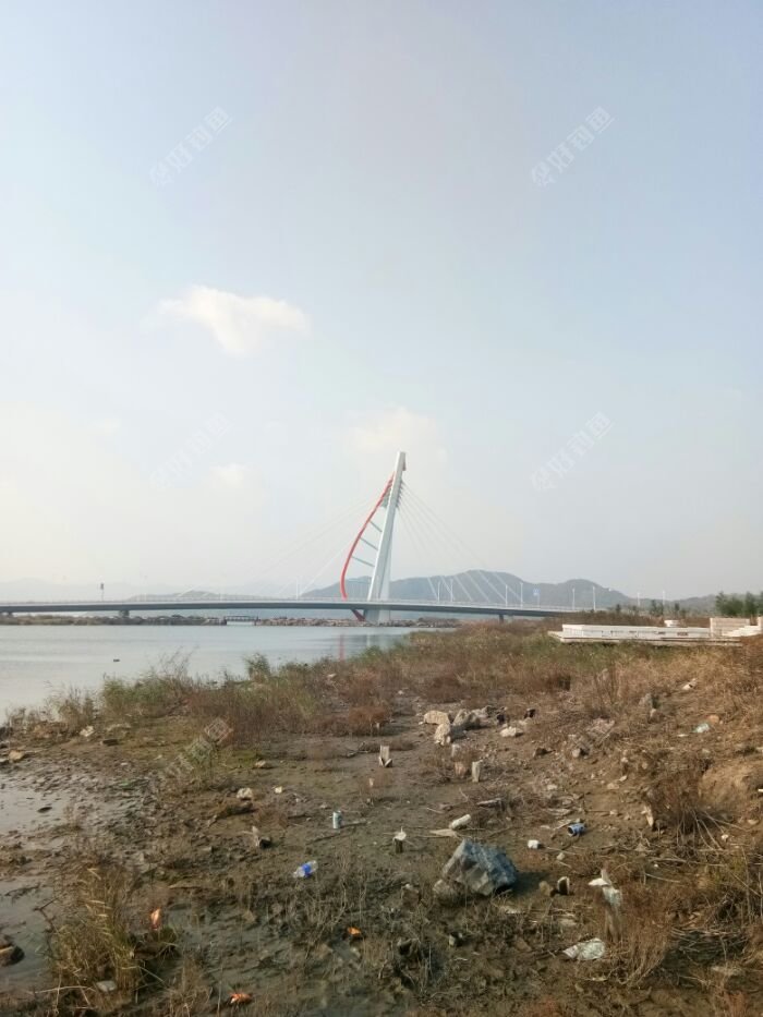 大目湾的斜拉桥