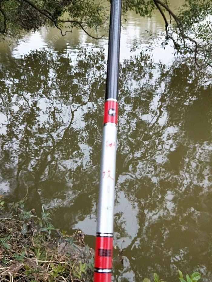IMG20180202075322.jpeg