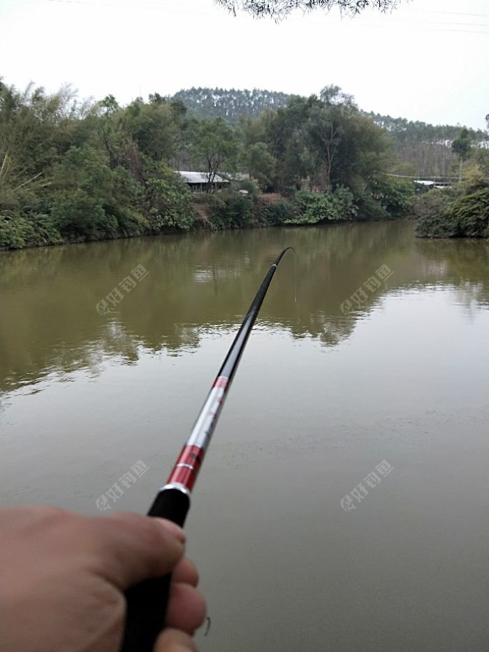 IMG20180202075617.jpeg