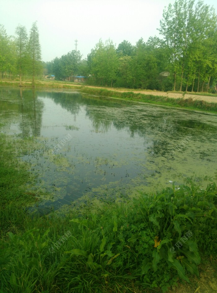 春季雷强之十九,电工猖獗之地,资源确实少