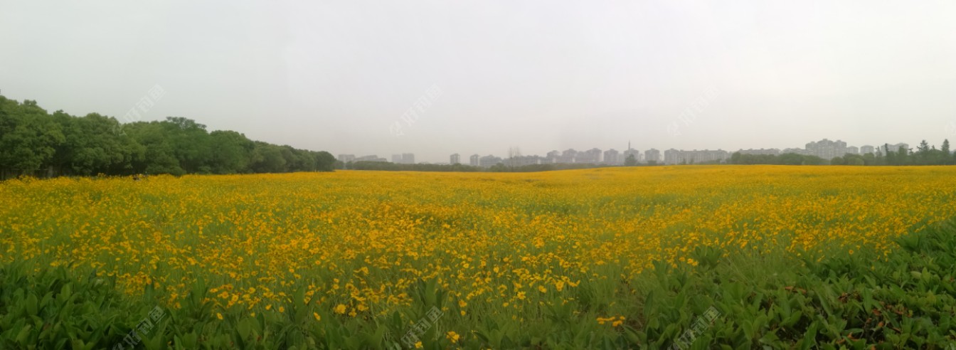 2019雷强之十,有空甩几杆,再战贡湖湾