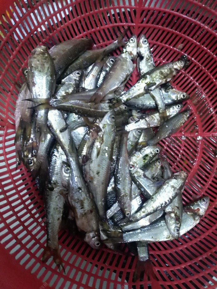 娱乐休闲小放松，遭遇电工侵袭