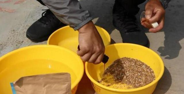 常见的钓鱼小药有哪些类?