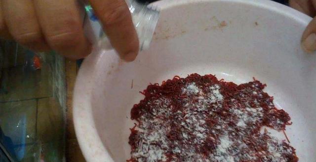 黑坑老板为什么都不让用红虫钓鱼?真正的原因有3点