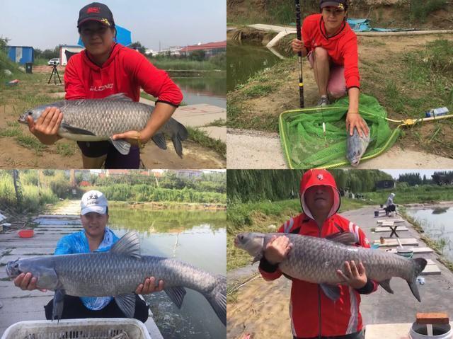 春末夏初如何钓黑坑青鱼,通过天气、鱼情、饵料等解析
