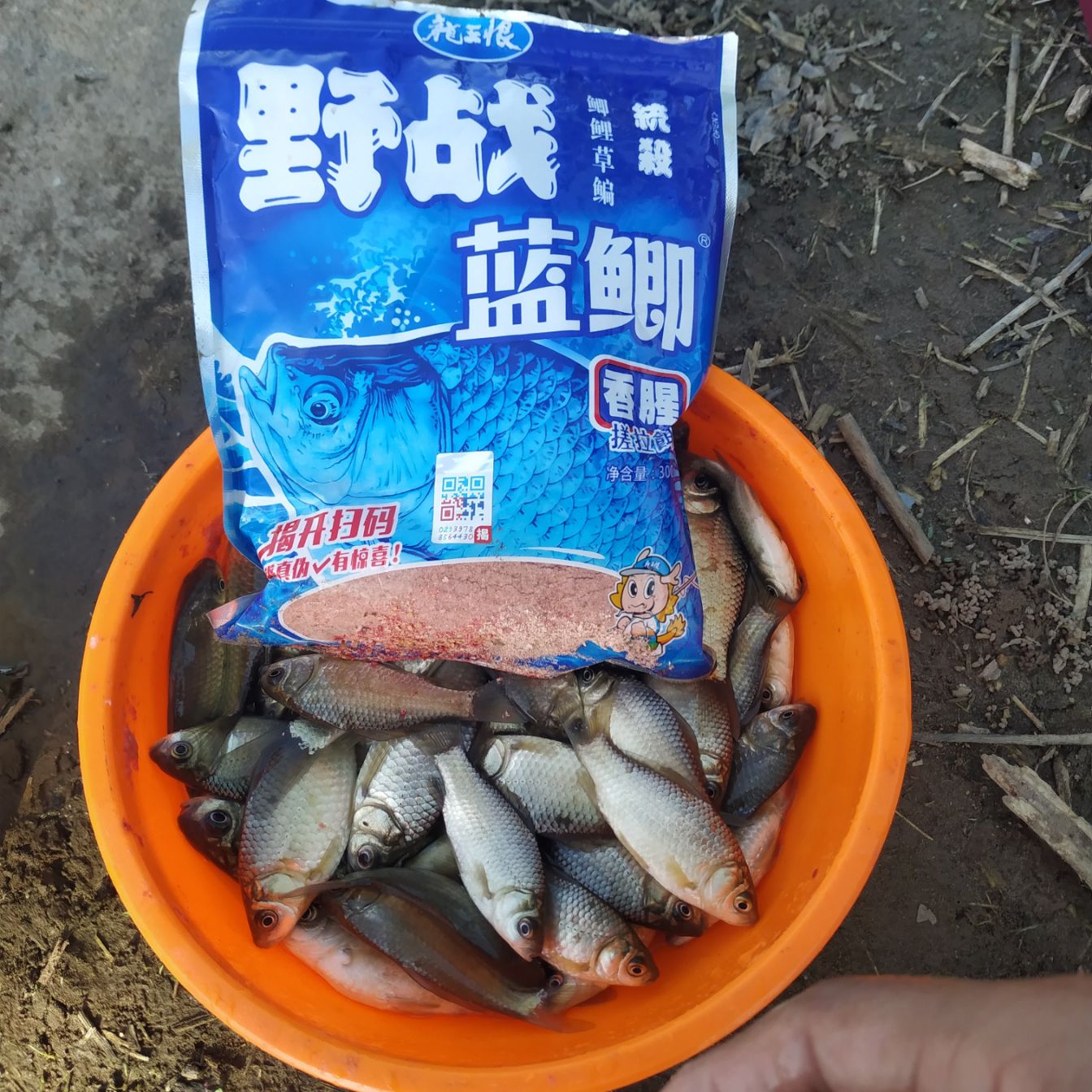奶鲫基地过足瘾 二小时狂拉不停口