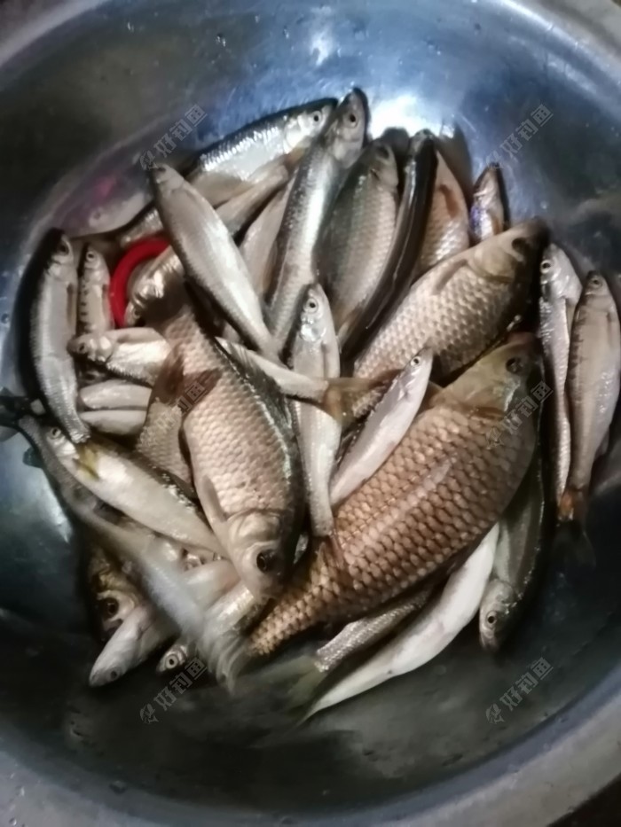 判断失误，险些参军