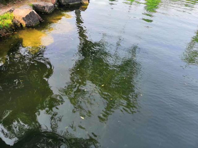 都说刷白条容易,不注意这些细节一样白搭