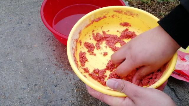 饵料状态有讲究,做好这三点,鱼儿自然来