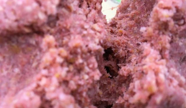 冬钓鲫鱼用什么商品饵?这5个配方简单又好用