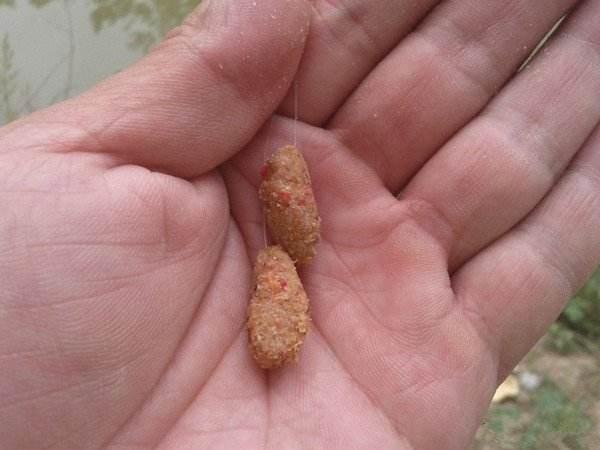 蚯蚓、红虫、商品饵,哪一个才是冬天钓鱼最好用的钓饵