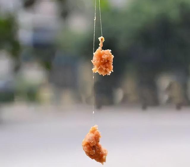为什么你拉饵老是做不好?改掉三个习惯即可