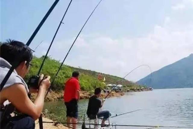 天气热,翘嘴鱼反而不好钓,试用这3招,比钓鲫鲤鱼更过瘾