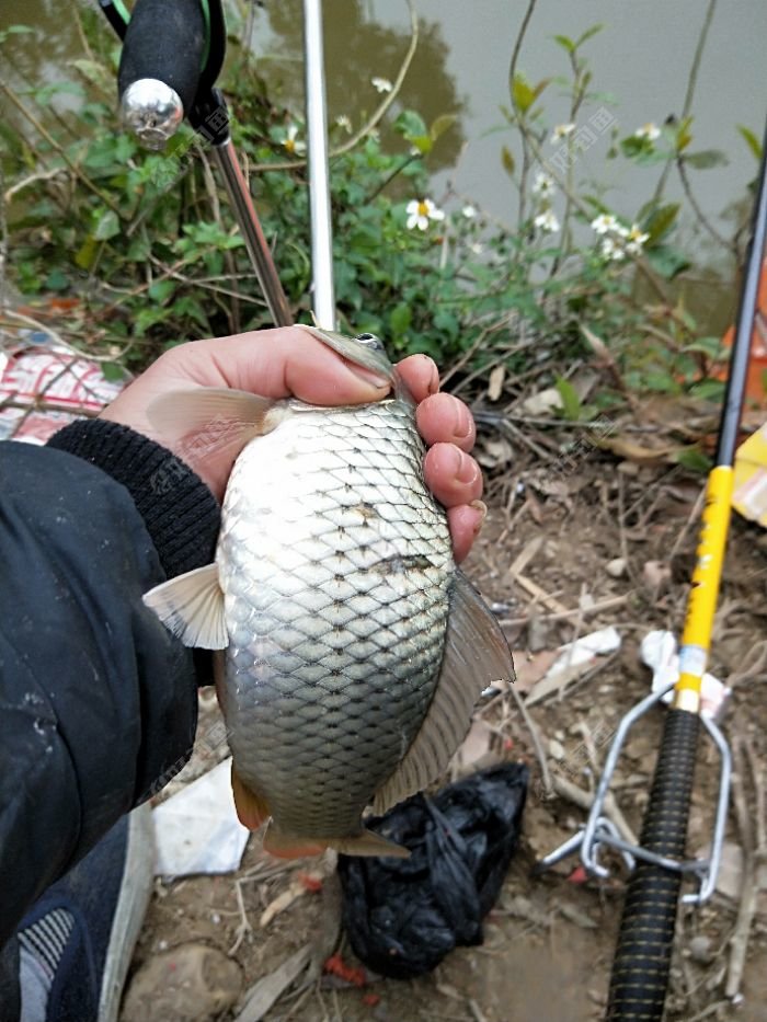 IMG20180202093031.jpeg